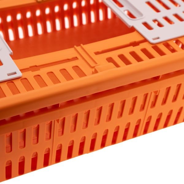 Transport Coop for Quail & Pigeon – Orange – Durable Plastic Poultry Carrier with Secure Locking Lid & Ventilation – Lightweight, Stackable, Easy-Clean Crate for Safe Bird Transport