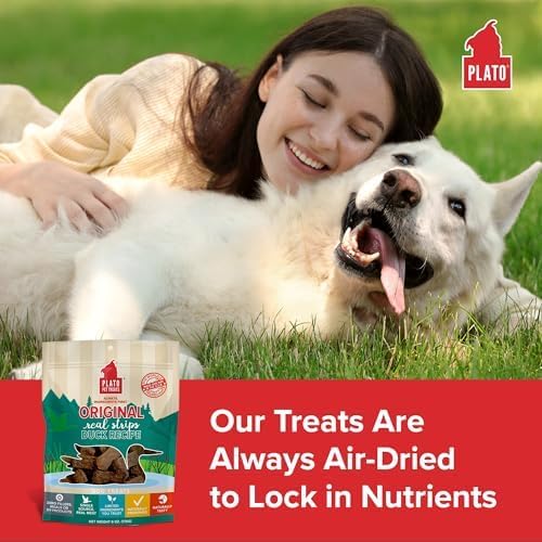 PLATO Pet Treats Real Strips - Air-Dried Meat Bars for Dogs - Delicious, Limited Ingredient Dog Treats - Grain Free Dog Treats - Original Real Strips Duck 18oz - 2 Pack