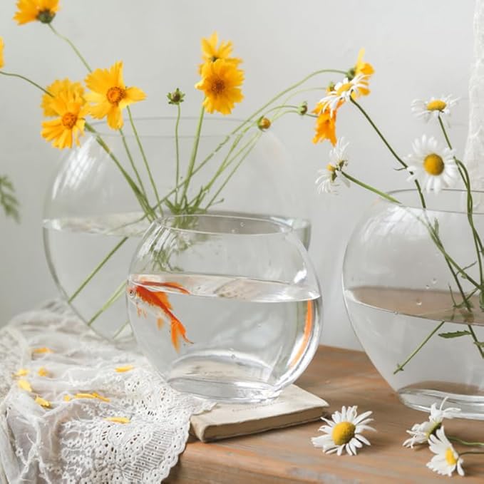 Multi-Function Glass Fish Tank 9.84 Inch Transparent Aquarium Bowl for Home Desktop Office Decor with Fish Accessories