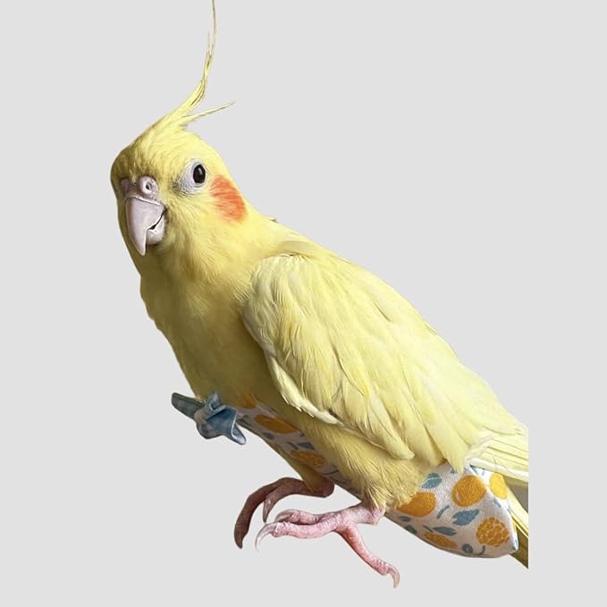 Bird Diapers for Parrot, Cockatiels Conure Monk Parakeets Pigeon, Reusable Parrot Nappy, Bird Clothes for Parrots (Yellow, M, Count, 6)
