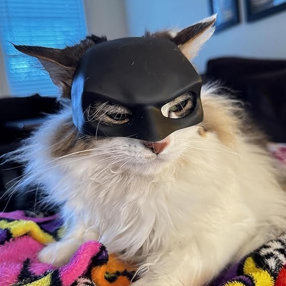Cat Bat Mask Halloween Costumes Accessories for Cats, Funny Kitty Costumes Accessorie Cosplay Apparel