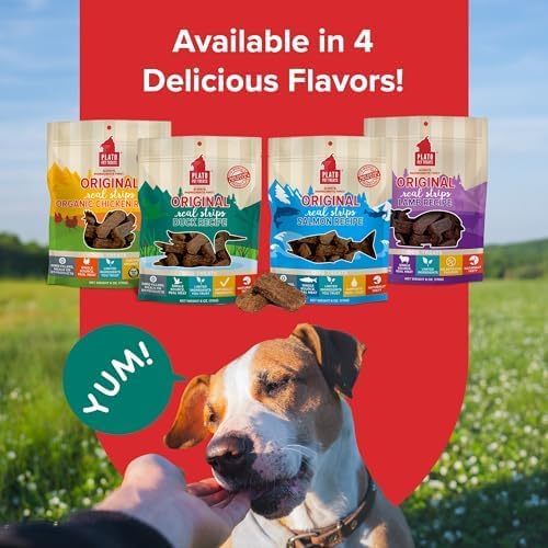 PLATO Pet Treats Real Strips - Air-Dried Meat Bars for Dogs - Delicious, Limited Ingredient Dog Treats - Grain Free Dog Treats - Original Real Strips Duck 18oz - 2 Pack