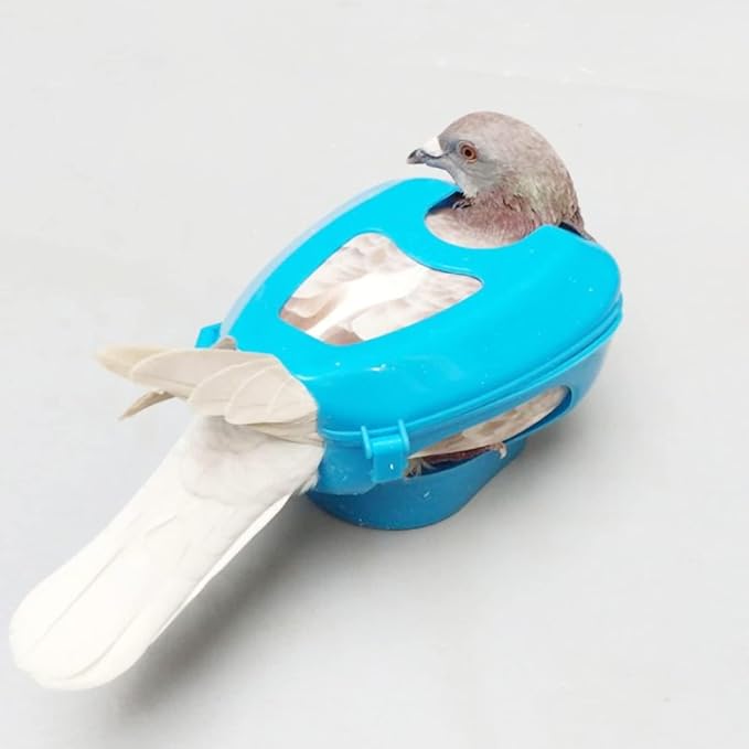 Pigeon Holder, Pigeon Supplies Bird Fixed Frame Rack Plastic Pigeon Fixers Pigeon Injection Holder for Feeding Bird Supplies Chick for Injection Feeding Fixed Mount Feeding Syringe for Young Birds