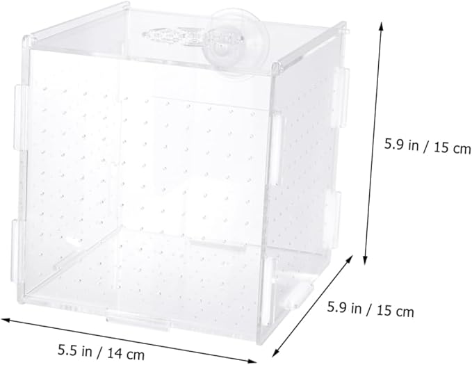 Modern Fish Tank Isolation Box Acrylic Fish Breeding Tank for Betta Guppy Suction Cups and Divider