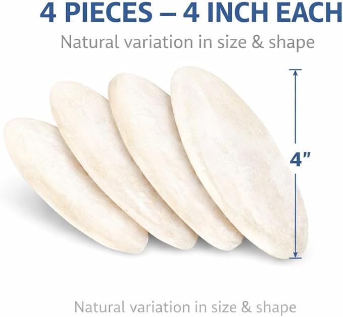 Birds LOVE 3.5-4″ Cuttlebones for Birds – 100% Natural Sun-Dried Calcium & Beak Conditioning Supplement for Parakeets, Budgies, Cockatiels, Finches & Canaries – 4 Pack with Holder – Made in Vietnam