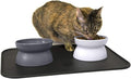 Kitty City Raised Cat Food Bowl Collection/Stress Free Pet Feeder and Waterer and Slow Feed Bowls