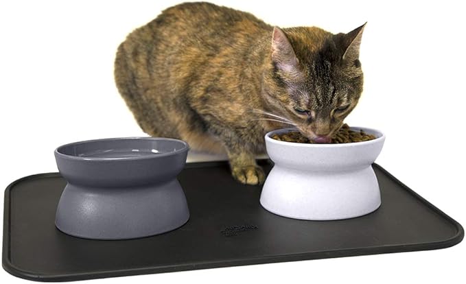 Kitty City Raised Cat Food Bowl Collection/Stress Free Pet Feeder and Waterer and Slow Feed Bowls