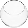 Glass Round Fish Bowl for Goldfish and Hydroponic Plants, 12-inch Glass Terrarium Aquarium for Office and Living Room Centerpiece