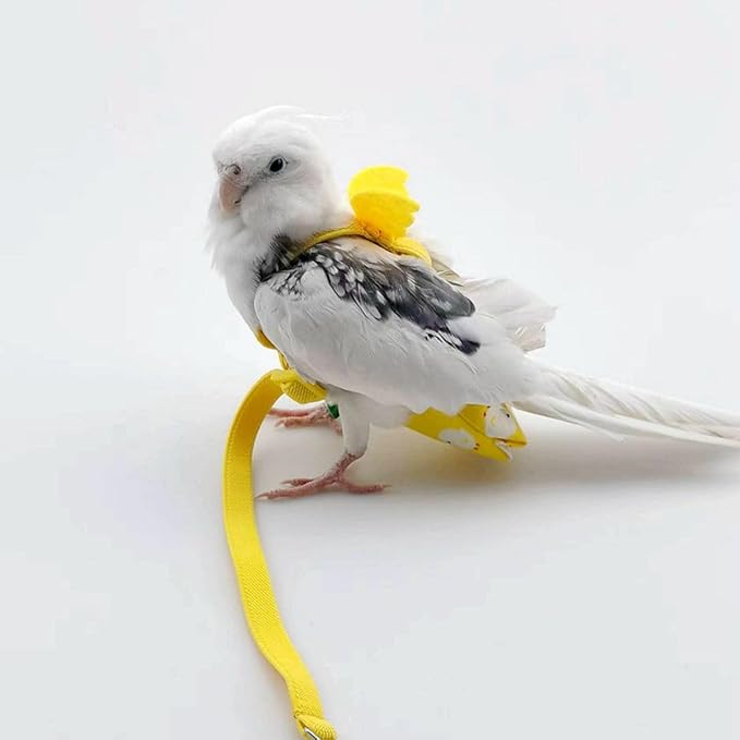 Adjustable Bird Diaper Harness Flight Suit Clothes with 80 Inch Flying Leash Rope for Parrots Conure Cockatiel (Blue,2M)