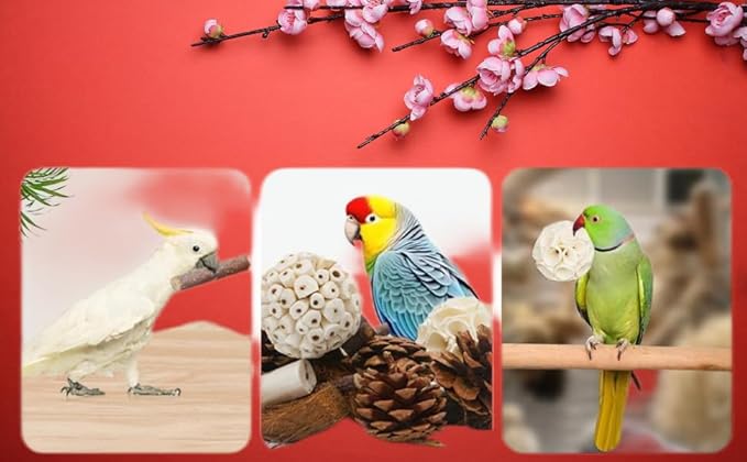 Bird Toys Bird Foraging Shredding Chewing Parrot Foraging Shredding Toys Chewing Toy Birdcage Accessories for Conures Caiques Cockatiel Budgies Parakeet and Small to Medium Birds