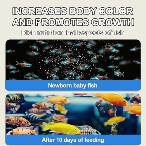 Premium Brine Shrimp Eggs – High Hatch Rate Artemia Cysts for Fish Fry, Reef & Aquarium Fish – Clean, Reliable Live Fish Food (0.7oz)