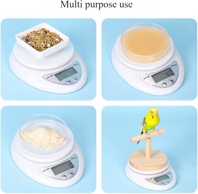 OMEM Accurate & Durable Parrot Special Scale Bird High Accuracy Scale with Wood Platform, Ideal for Monitoring Birds' Health