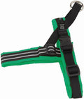 ComfortFlex Sport Dog Harness – No-Choke, Fully Padded, Non-Chafing Harness with Control Handle – Reflective, Lightweight, Adjustable for Active Dogs - XXSmall, Kelly Green
