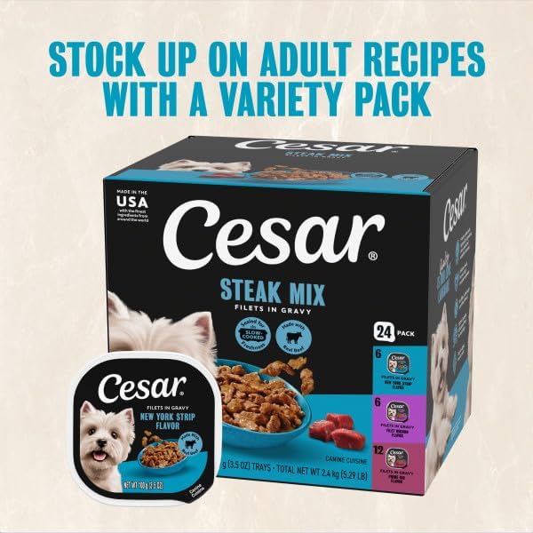 Cesar Filets in Gravy Adult Wet Dog Food Variety Pack, Filet Mignon, New York Strip, and Prime Rib Flavors, 3.5 oz. Easy Peel Dog Food Tray, 24 Count (Pack of 1)