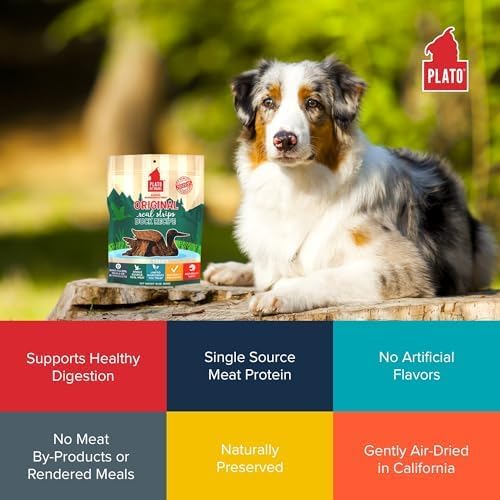 PLATO Pet Treats Real Strips - Air-Dried Meat Bars for Dogs - Delicious, Limited Ingredient Dog Treats - Grain Free Dog Treats - Original Real Strips Duck 18oz - 2 Pack