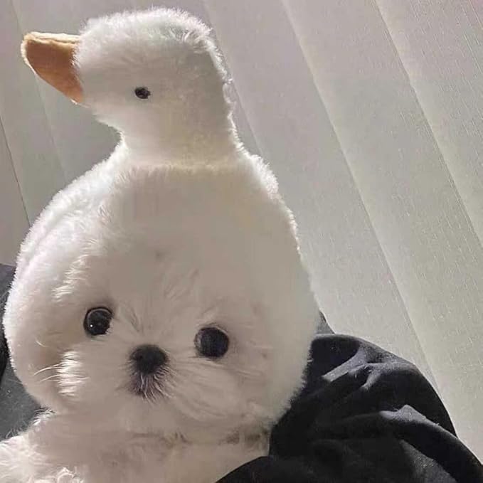 Cute Goose & Duck Shape Pet Headband Hat, Cat, Puppy & Small Dog Headwear, Velvet, One Size, Winter, All Seasons