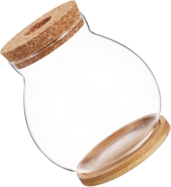 Small Hydroponic Glass Fish Tank with Lid, Mini Betta Fish Bowl 10x11cm with Mat for Desktop Aquarium Terrarium Decor
