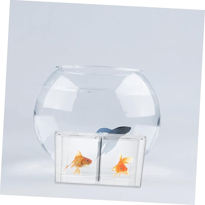 Acrylic Fish Breeding Box for Betta and Fish Breeding Tank Isolation Features for Hatching Aquariums Easy to Clean and Maintain