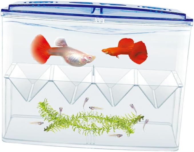 BESPORTBLE 1pc Fish Hatching Box Sturdy Aquarium Breeding Tank Small Fish Incubation Tank