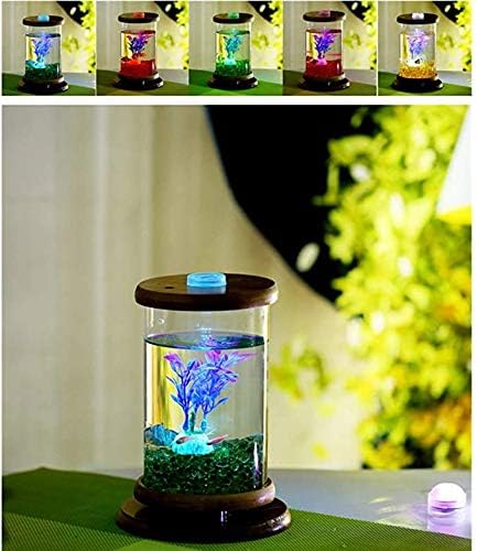 Creative Manual Rotating Glass Fish Tank with Colorful Remote Control lampSuper Large Glass Cylinder (Diameter 10 cm, Height 20 cm)