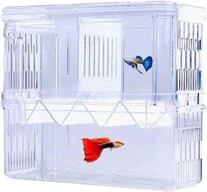 Acrylic Floating Fish Hatchery, Double Layer Fry Hatching Incubator Breeder Box for Aquarium Tank, Safe House for Fish Parenting