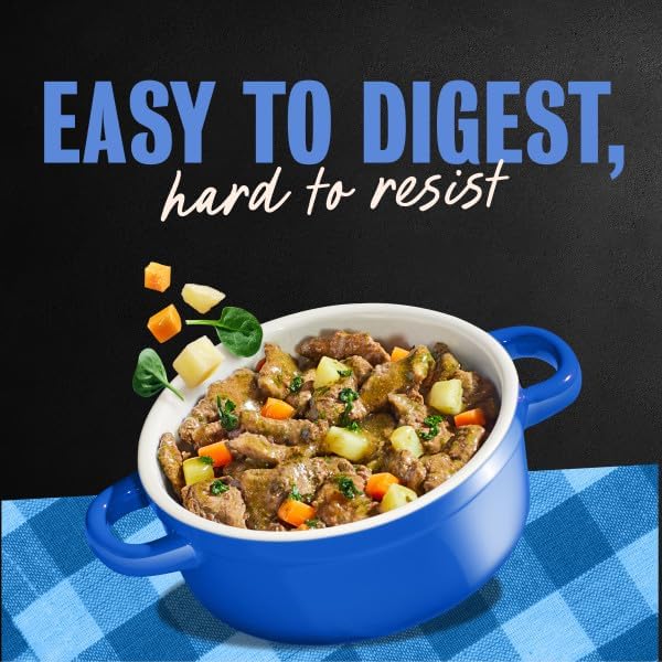 Cesar Home Delights Adult Wet Dog Food, Pot Roast with Spring Vegetables, Beef Stew, Turkey, Green Beans, & Potatoes, and Hearty Chicken & Noodle Dinner in Sauce Variety Pack, 3.5 oz. 24 Count