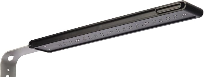 Fluval SPEC Aquarium Kit, Aquarium with LED Lighting and 3-Stage Filtration System, 5-Gallon