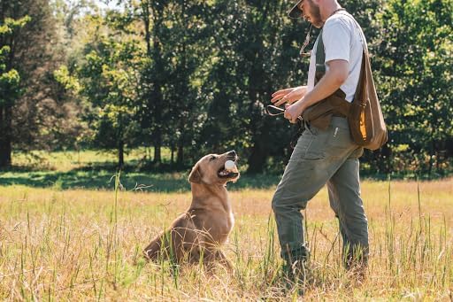 ACME Alpha 211.5 Professional Dog Training Whistle with Enhanced Ergonomic Grip. BPA-Free Plastic. 110 dBA. Long Range. Standardized Frequency. Weatherproof. Made in The UK (Black on Day Glow Orange)