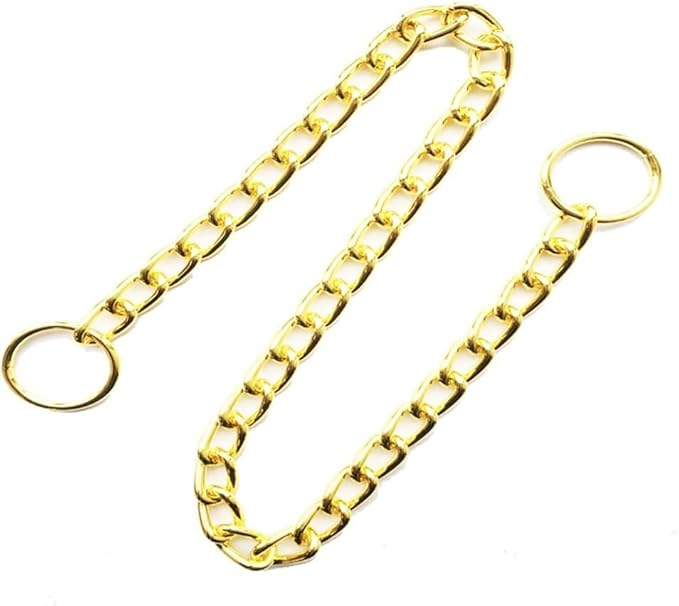 Chain Choke Collar for Dogs, Metal Slip Link Training Heavy Duty Dog Collar Martingale Puppy Collars for XXS XS Small Medium Large Big XL Breed Dogs (Gold, S(Neck Max 16inch) D2.5mm)