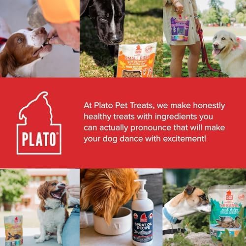 PLATO Pet Treats Real Strips - Air-Dried Meat Bars for Dogs - Delicious, Limited Ingredient Dog Treats - Grain Free Dog Treats - Original Real Strips Duck 18oz - 2 Pack
