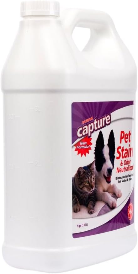 Capture Pet Stain & Odor Remover - Enzyme Pet Odor Eliminator for Home, Carpet Stain Remover for Cats & Dog Pee, Cat Urine Destroyer, Carpet Cleaner Spray - 1 Gallon