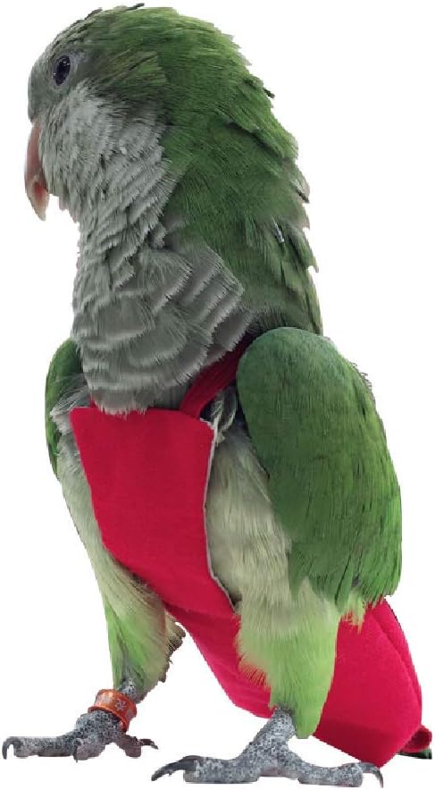 Parrot Diaper Bird Flight Suit, Bird Clothes, Waterproof Lining Pet Bird Supplies (S, Red)