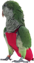 Parrot Diaper Bird Flight Suit, Bird Clothes, Waterproof Lining Pet Bird Supplies (S, Red)