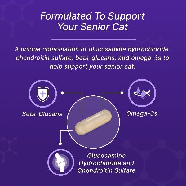 Nutramax Cosequin for Senior Cats Joint Health Supplement, Contains Glucosamine for Cats, Plus Chondroitin, Supports Joint, Skin and Coat, and Immune Health, Sprinkle Capsules, 60 Count
