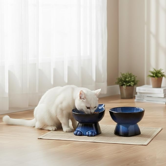 Nihow Elevated Cat/Dog Bowls Set : 6.2 Inch Ceramic Raised Cat Food & Water Bowl Set for Protecting Pet's Spine - Feeding & Watering Supplies for Cat/Small Size Dog - Elegant Blue & Black (2 PC)