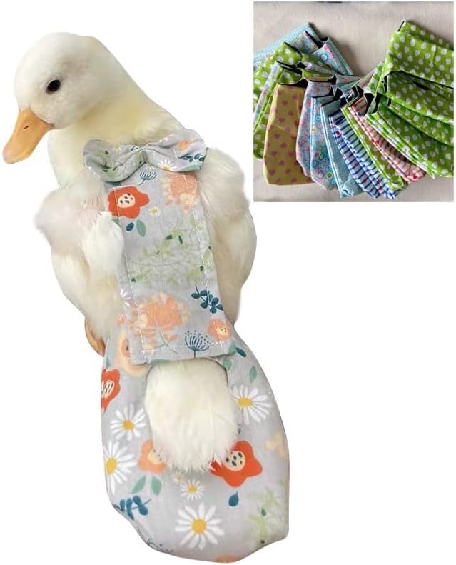 Duck and Chicken Diapers - Special Waterproof, Adjustable, Washable and Reusable for Poultry, Goose - Supplies (750g-900g)