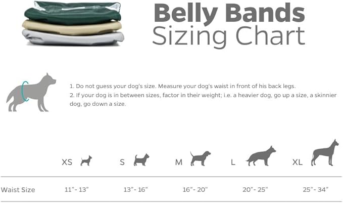 Pet Parents® Washable Belly Bands for Male Dogs (3pack) + Extendrs® of Durable Dog Diapers Male, Premium Male Dog Diapers & Dog Wraps (X-Small, Spruce)