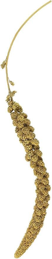 F.M. Brown's Golden Millet Spray, 5-Pound