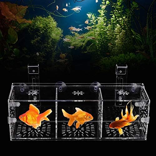 Aquarium Breeder Box, Transparent Acrylic Fish Isolation Box Fish Hatchery Incubator Holder for Newborn Fry Shrimp Guppy (30CM*10CM*10CM)