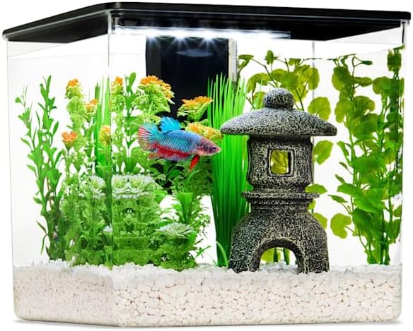 Imagitarium Betta Cube Kit 2.5 Gallons