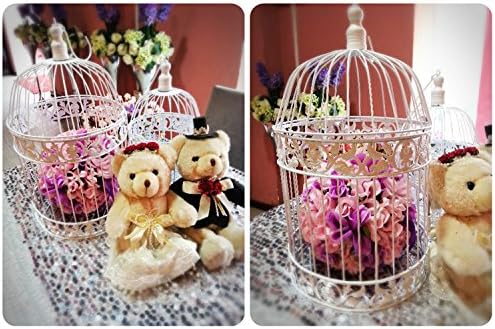 PET SHOW Round Birdcages Metal Wall Hanging Bird Cage for Small Birds Wedding Party Indoor Ourdoor Decoration 13.8INCH White Pack of 1