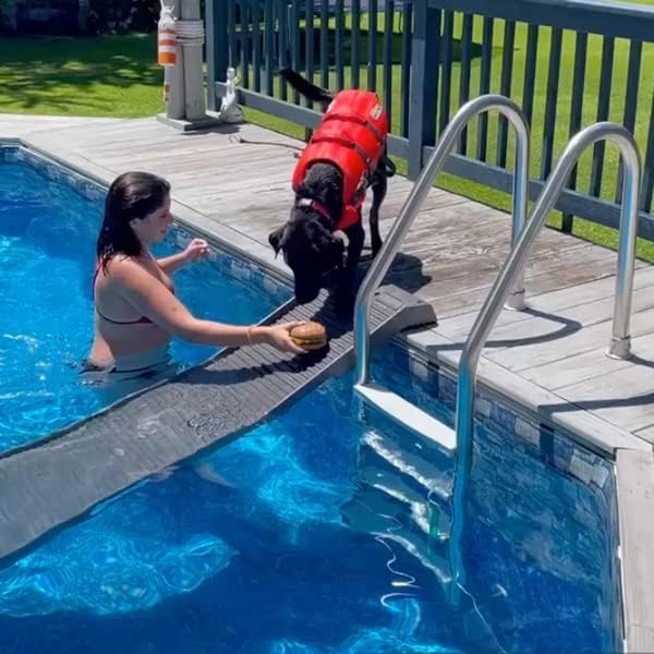 PetStep Pool Ramp for Dogs - (Standard Legs, Graphite/Gray) - Small and Large Dog Pool Ramp for Above-Ground and In-Ground Pools