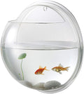 Aquarium Wall Mounted Plant Bowl - 6 Inch Round Acrylic Betta Fish Tank, Hanging Bubble Vase for Plant Propagation & Home Office Wall Decorations