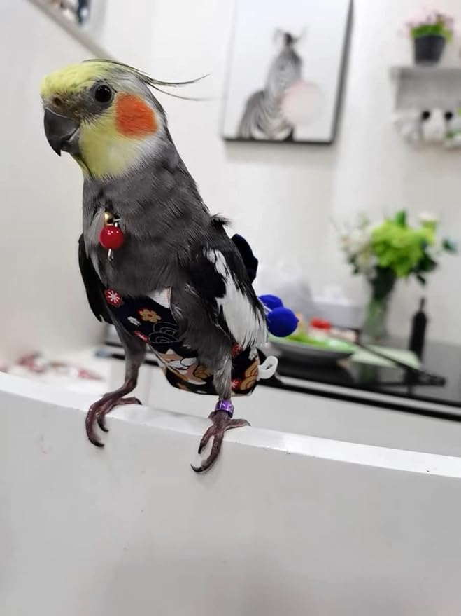 Bird Flight Suit Diapers for Monk Parakeets, Cockatiels - Parrot Clothes, Training Nappy Suit Liners (Medium, Blue-B)