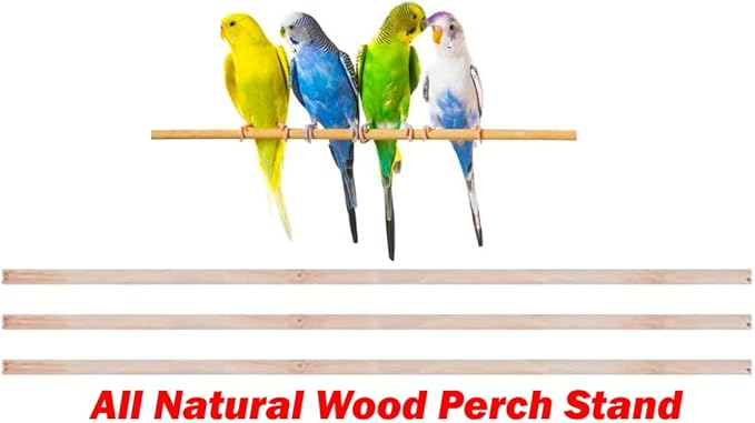 36" Portable Bird Cage for Quaker Indian Ring Neck Small Parrots Cockatiels Sun Parakeets Green Cheek Conures Finches Canary Budgies Lovebirds Parrotlets Medium Size Travel Bird Cage