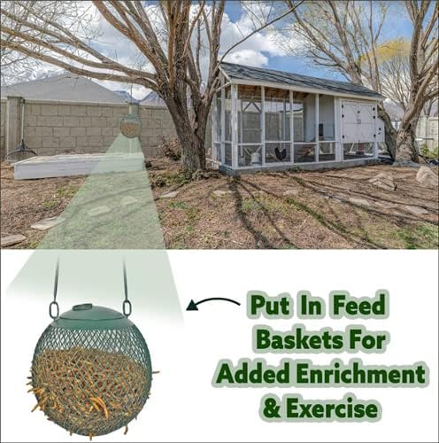 Dried Mealworms - 100% Natural, Non-GMO, High Protein, Bulk Insect Treat for Chicken, Laying Hen, Chick, Wild Bird, Bluebird, Duck, Goose, Turkey, Chickadee, Titmice, Wren, Reptile, Fish (5 lb.)