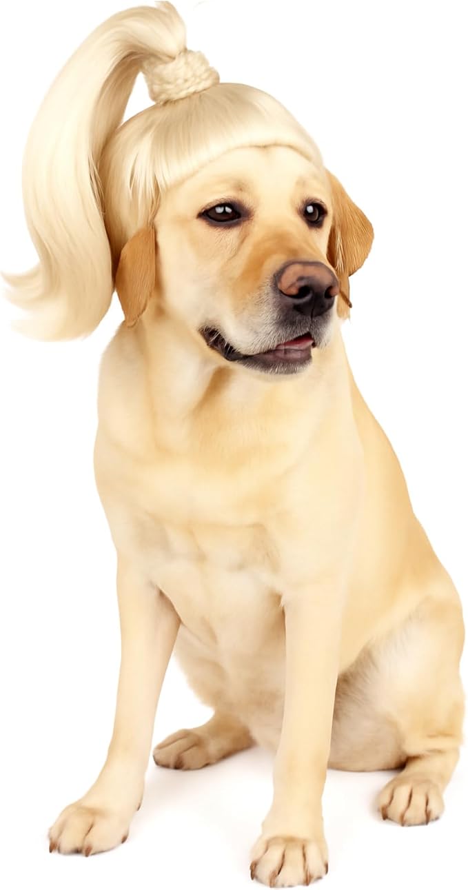 Blond Long Hair Ponytail Funny Pet Wig – Dog Wig for Large Girl Dog –Large Dog Costume for Halloween, Party, Photo Shoots – 3D Natural Look – Fits 15kg-50kg Pets
