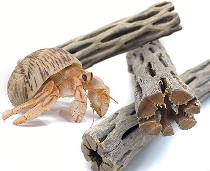 SunGrow Hermit Crab Woods, Climbing Logs, Chews, Keep Hermies Busy and Active, Long Dried Aquarium Décor Adds Raw Beauty