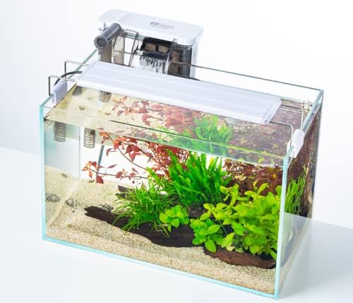 BEGONDIS Rimless Low Iron, Glass Aquarium Tank 5mm Thickness Standard Jointed (7.8" L × 8.6" W × 11" H)