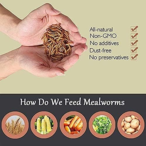 Non-GMO Dried Mealworms 20LB, 100% Natural Large Size No Moisture,Treats for Birds Chickens Hedgehog Hamster Fish Reptile Turtles (20LB)